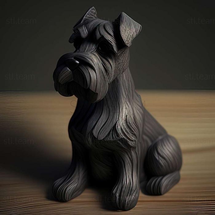 Zwergschnauzer dog